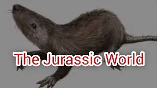 The Jurassic World: Evolution of Dinosaurs, Mammals, and Rise of Bird's Ancestors (Part 14)