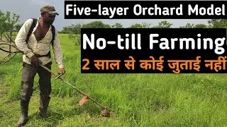 No-till Farming | Five-layer Orchard Model | Subhash Palekar Natural Farming