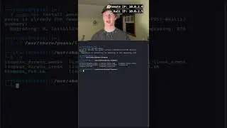 Learn to Hack Day 11: Running LinPEAS #cybersecurity #hackingcourse #linux #ethicalhacking101