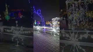 Прямая трансляция в TikTok: Праздничная иллюминация в парке Лиласия, Ломбард, Иллинойс, 24.12.2025