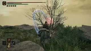 Elden Ring DLC - Glow Worm buggy animation