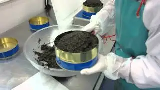 Packing Certified Organic Caviar made in Canada