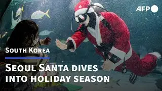 Underwater Santa puts on a show at Seoul aquarium | AFP