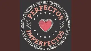 Perfectos Imperfectos