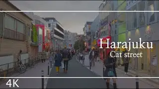 Harajuku Cat street Tokyo, Japan | 30 min walking to TRUNK hotel real tour | 4k ASMR ambient sounds