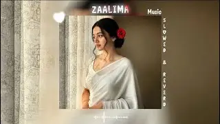 Zaalima (Slowed and Reverb) | Cute Girl | Raees | Arijit Singh & Harshdeep Kaur #slowedreverb #music