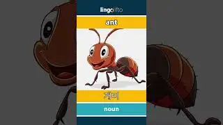 🇬🇧🇰🇷 ant - 개미 : vocabulary builder : learn English : 영어를 배우자