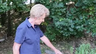 Summer watering - Springvale Garden Centre