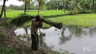 Cross-border relations between India and Bangladesh