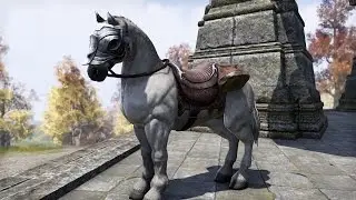 ESO: Where and how to get the Imperial horse! [SOLVED]