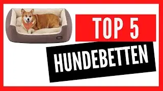 🐶🛏️ Top 5 der besten Hundebetten auf Amazon 2024 – Komfort und Stil für Ihren vierbeinigen Freund!