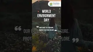 World Environment Day | Holiday Hub