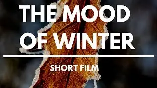 The mood of Winter - Short Movie