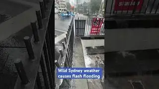 Wild Sydney Weather Causes Flash Flooding | 10 News First
