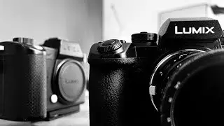 Leica SL2s vs Lumix S1RII