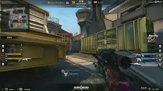 Furlan ACE vs Binary Dragons