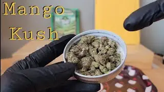 Mango Kush - Valley Hemp USA - THCa Flower Review