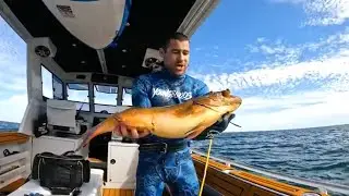 Deep Blue Adventure: Catch, Cook & Eat Lobster in the Open Ocean