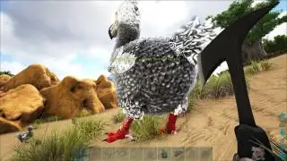 бонусная ARK Survival Evolved Epic Islands
