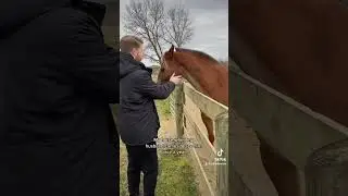 How My Horse Treats My Husband