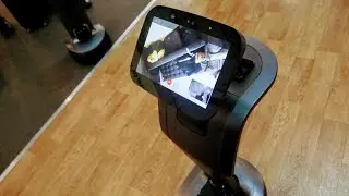 Temi Robot Is Like Alexa on Wheels