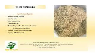 Gracilaria products of Vietnam have best quality for exporting.