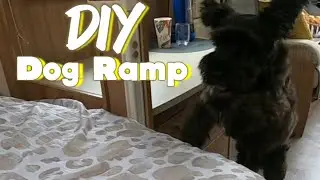 Pet Can't Get On Your Caravan Bed? This Ramp Will Do It!