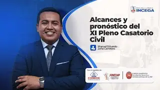 🔴Alcances y pronósticos del XI Pleno Casatorio Civil