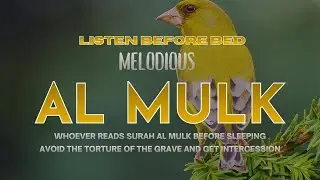 🌙 MUROTTAL ALQURAN SLEEPING MELODY - AL MULK The holy verse of Al Quran for bedtime