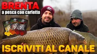 Fiume Brenta l carpfishing vlog l a pesca con Carletto #carpfishing #carpfishingitalia
