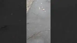 VID 20191104 101938