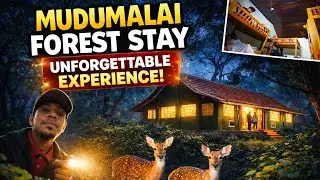 🤯Roomஅ சுத்தி வன விலங்குகள்😱 | Rosy Minivet Dormitory | Mudumalai | Ooty series -5 #smilingfeathers 
