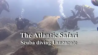 Diving Lanzarote . Scuba Diving. Puerte Del Carmen.