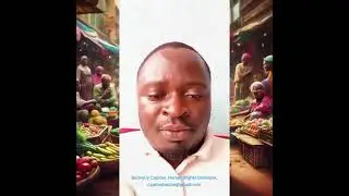 The Promotion and Protection of Human Rights