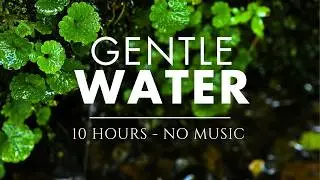 Satisfying Trickles of Super Gentle Water ❘ 10 HRS ❘ NO MUSIC