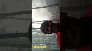 kodaikanal ranjithame vibe pani thuli forest #shorts #youtube #kodaikanal #forest #vlog #status mpjv