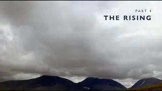 Roots and Veins // Part 4 // The Rising