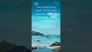 Shepherd's Voice: Gathering and Guarding the Flock | John Calvin Quote