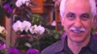 The Windsor Florist, NYC