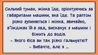 🏡Як Жінка В Тумані На Машині Їхала! Добірка Нових Смішних Анекдотів! Гумор! Настрій!