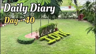 Daily Diary | Day - 40 | Vlog | Chasing My Dream