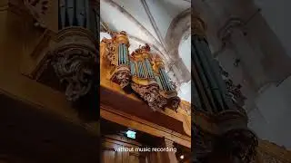 L&rsquo;&eacute;glise Saint-Thomas | Orgue Silbermann