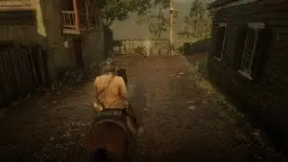 Animals Running Town | RDR2