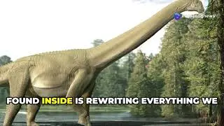 Sauropod Stomach Secrets:  They Didn't Chew!