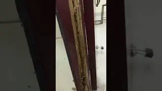 #termitetreatment #construction #pest #chennai #termitespray #service #termite