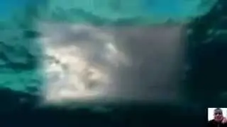 الرضا والنور