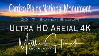 Carrizo Plains 2017 Super Bloom Ultra HD 4K Aerial Drone Video