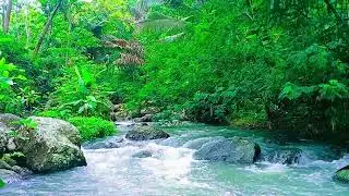 Calm River Flow, Peaceful Nature Sounds ASMR for Relaxation