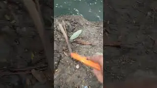 Berakhir makan tanah @channel seperjuangan 