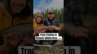 How to catch more brook trout 🎣